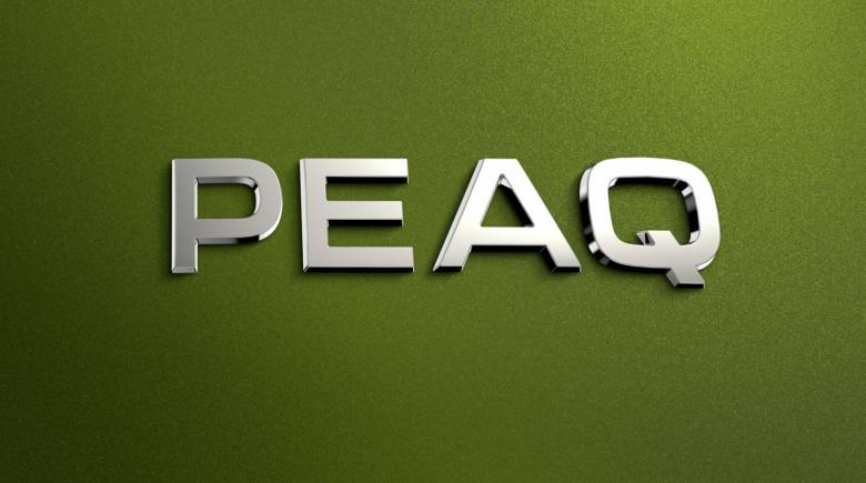 Škoda Peaq - mẫu SUV điện 7 chỗ đầu bảng hoàn toàn mới của Skoda