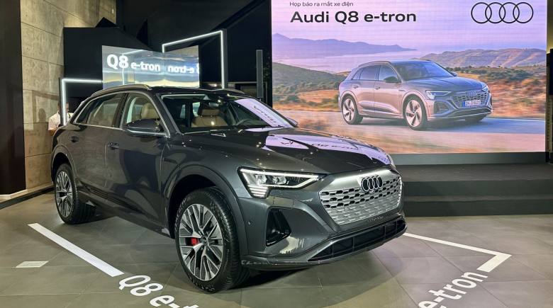 AUDI E-TRON VÀ AUDI Q8 E-TRON tại Việt Nam có thể gặp lỗi bàn đạp phanh