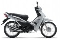Honda Việt Nam ghi nhận mức tăng trưởng tốt ở mảng xe máy trong tháng 7/2022