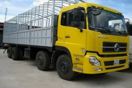 Đề xuất dừng nhập khẩu xe tải Trung Quốc