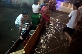 Sài Gòn lại ngập trong mưa lớn, 7 ôtô bị cây đè
