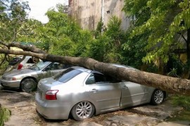 Khi dông lốc, đỗ xe thế nào cho an toàn ?